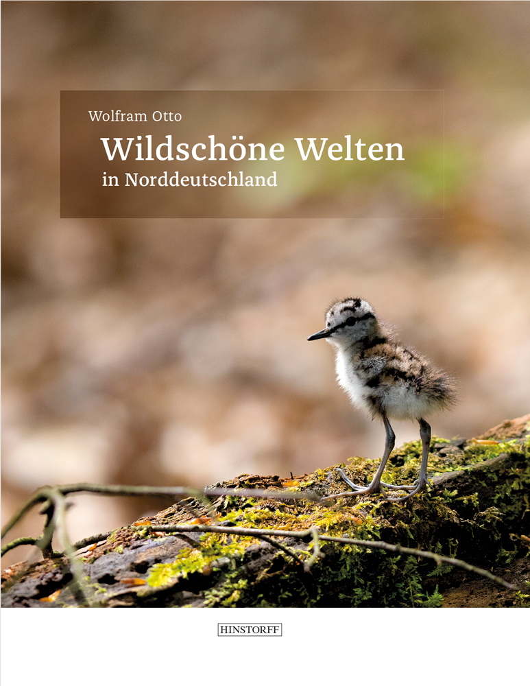 Wildschöne Welten in Norddeutschland