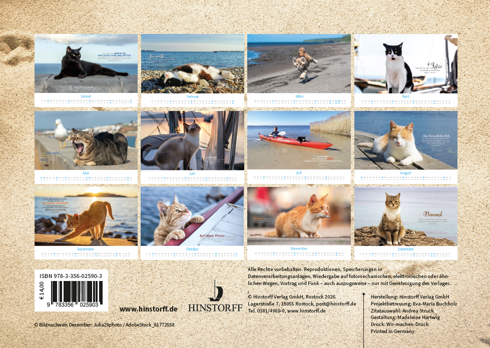 Katzen am Meer 2027