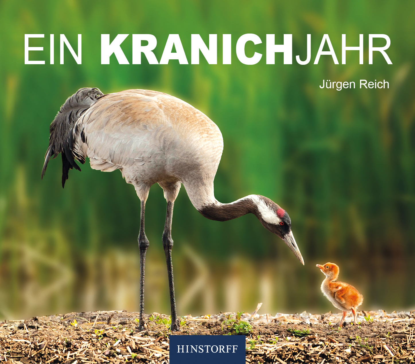 Ein Kranichjahr