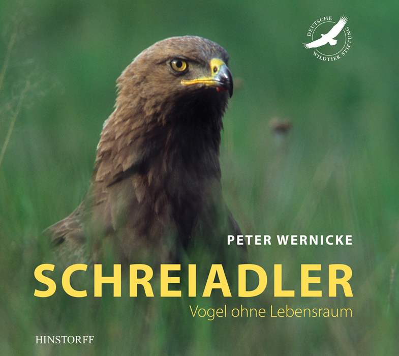 Schreiadler. Vogel ohne Lebensraum