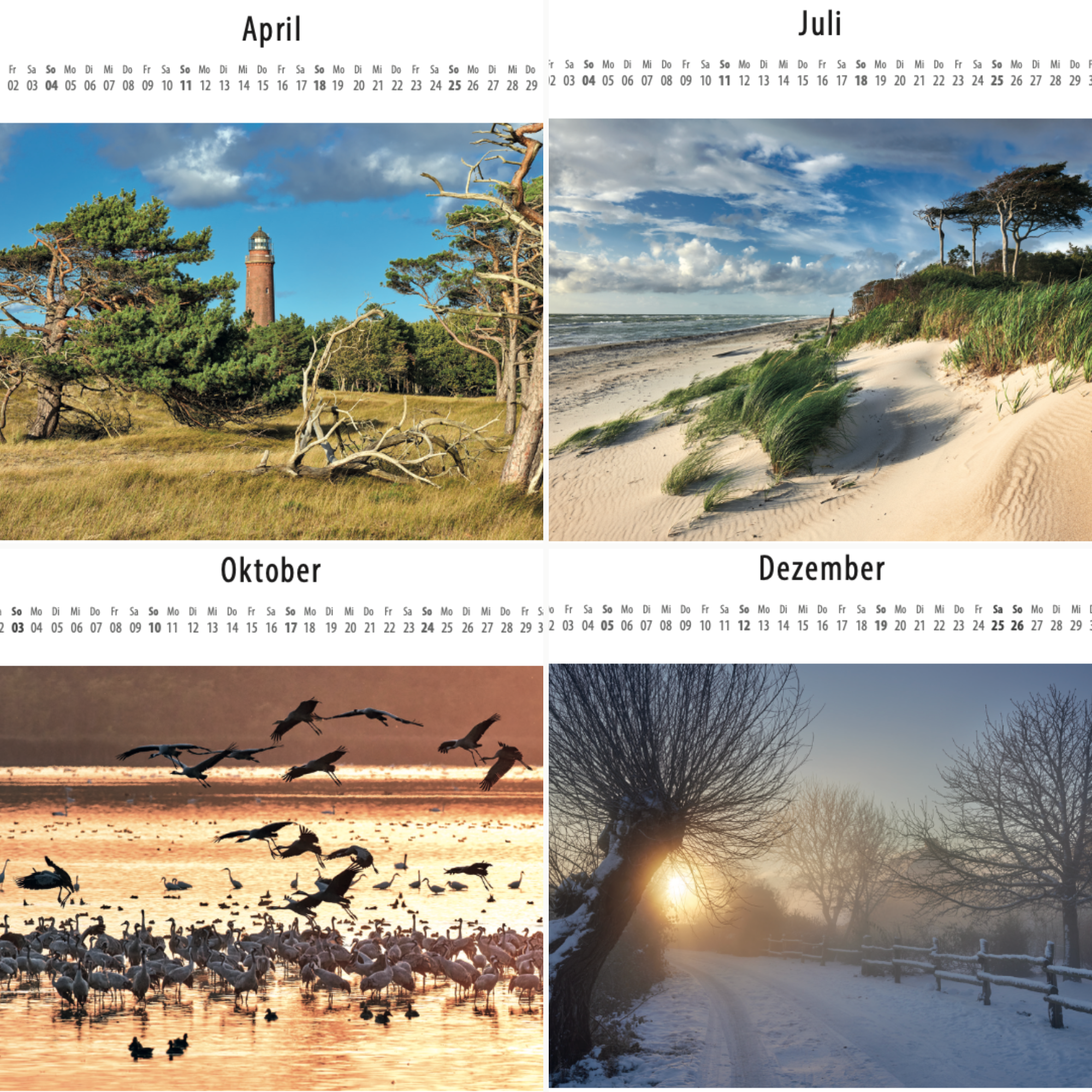 Postkartenkalender Fischland-Darß-Zingst 2027