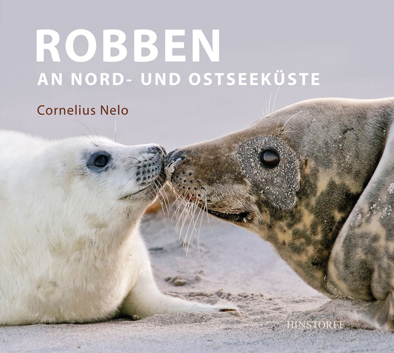 Robben an Nord- und Ostseeküste